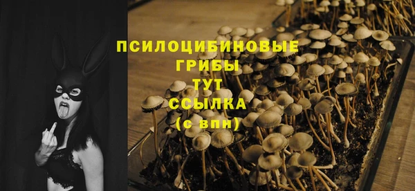 мдма Пересвет