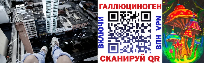 OMG как зайти  Стрежевой  Псилоцибиновые грибы мухоморы 